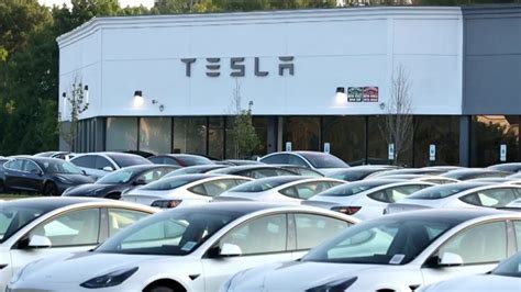 Tesla earnings plunge as trade tensions and Trump ties weigh on results