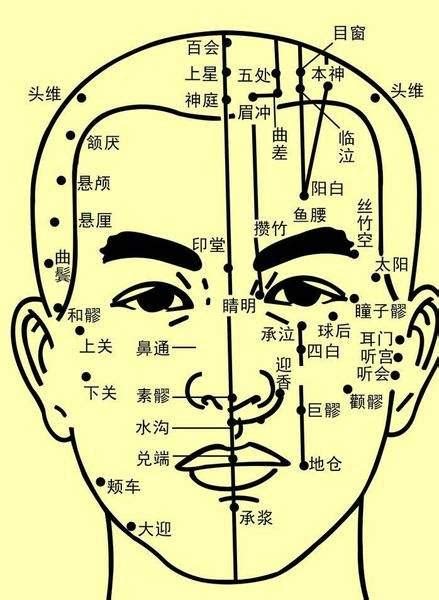 面部穴位，脸部29个穴位的位置汇总（附面部穴位图） - 知乎