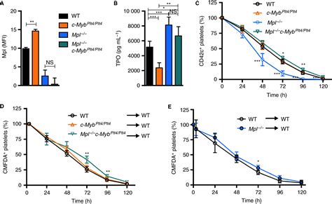 Regulation of platelet lifespan in the presence and absence of thrombopoietin signaling ...