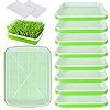 ACXFOND Paper 10 Pack Seed Sprouter Tray Microgreens Growing Trays ...