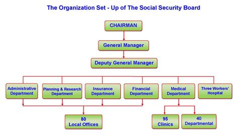 Consultant for Effective Organizational Structure - New Horizon