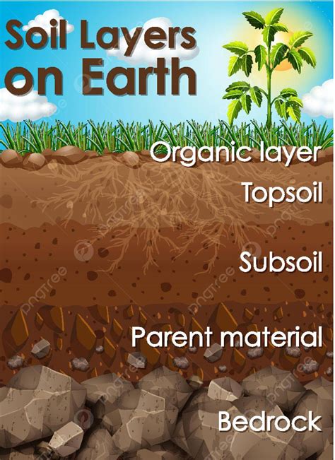 Earth Soil 的图像结果
