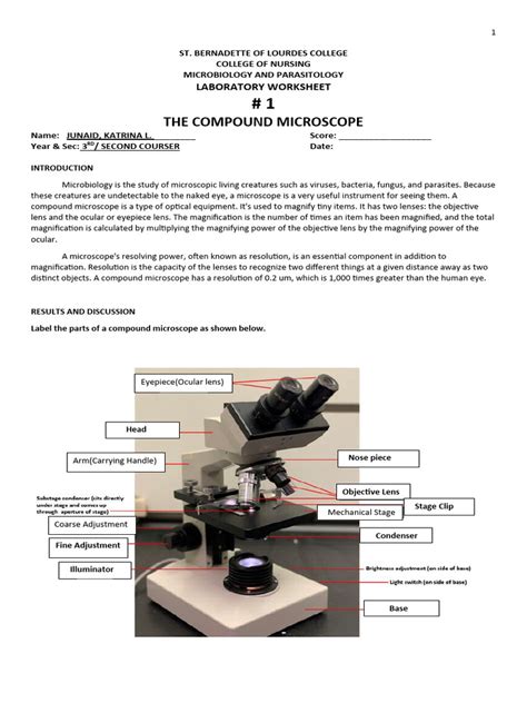 Image result for Microscope Lab Activity