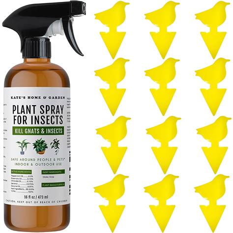 Amazon.com: Plant Spray Bottle for Insects with 12 Fruit Fly Traps and ...