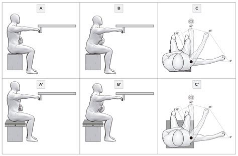 Correlation Between Modified Functional Reach Test and Medio-Lateral ...