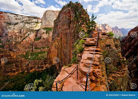 Are Pets Allowed In Zion National Park at Margaret Bower blog
