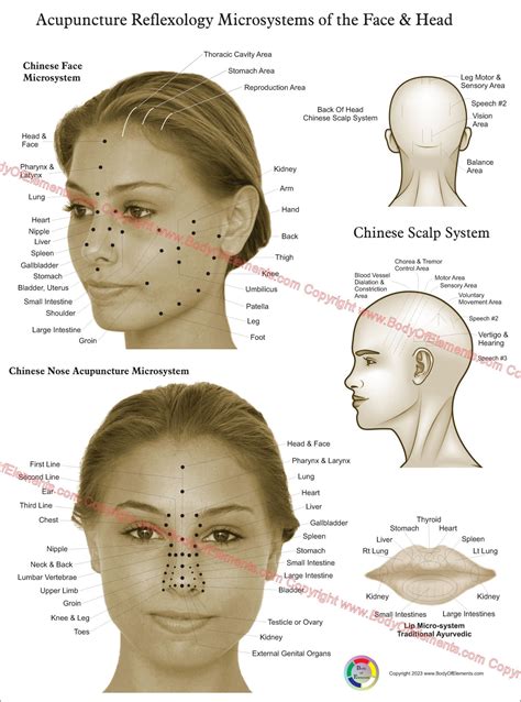 Face Acupressure Points Chart