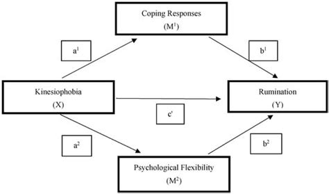 Breaking the Cycle: How Coping and Flexibility Disrupt the Link Between ...