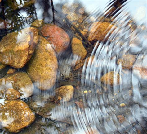 History - The Cloisters on the Platte