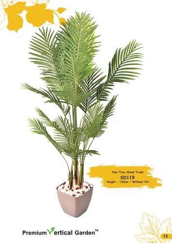 Palm Trees - SD112E Palm Tree Service Provider from Mumbai