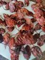 Red Chilli - Dried Red Chilli Stemless Trader - Wholesaler ...