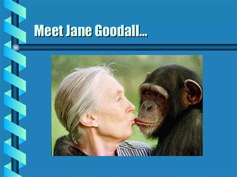 Science Method Song 的图像结果