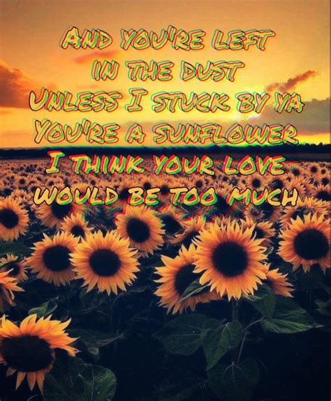 sunflower by post malone lyrics