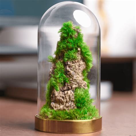 Nature's Dome – Nature’s Pod