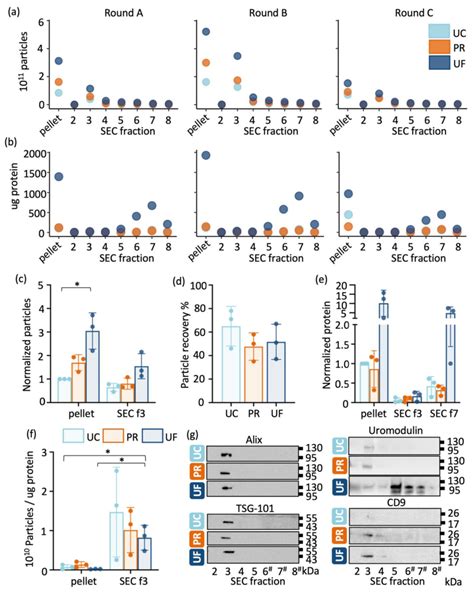Size-Exclusion Chromatography Separation Reveals That Vesicular and Non ...