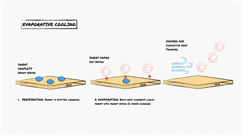 Evaporative Cooling Sweat