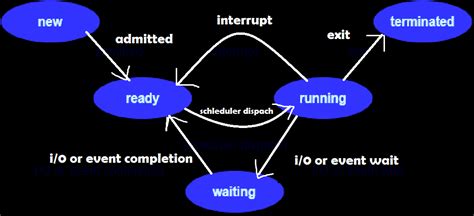 Process Cycle 的图像结果