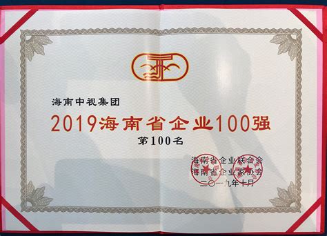 2019海南省企业百强榜单揭晓 中视集团连续六年入选 - 中视集团