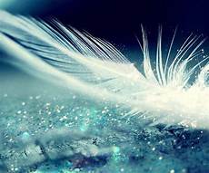 signification des plumes signification des plumes que du bonheur signification des plumes signification des plumes que du bonheur