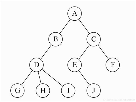 #图解 数据结构：树和森林与二叉树的相互转换 - 知乎