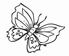 schmetterlinge malvorlagen zum ausdrucken ausmalbild natur toller schmetterling kostenlos ausdrucken schmetterlinge malvorlagen zum ausdrucken ausmalbild natur toller schmetterling kostenlos ausdrucken