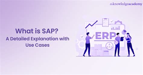 What Is SAP Program 的图像结果
