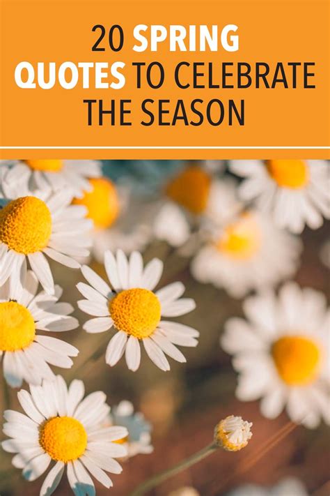 60 Warm and Cheerful Spring Quotes to Brighten Your Day | Spring quotes ...