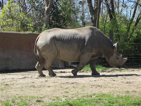 Image result for Spring Break 2016 Competition