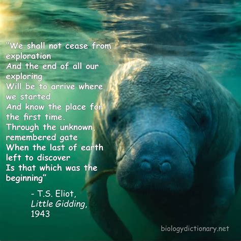 Quotes About Biology 的图像结果