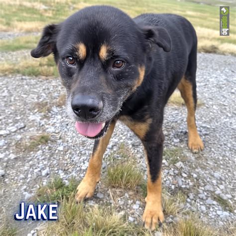 Cleveland Daily Banner added a... - Cleveland Daily Banner