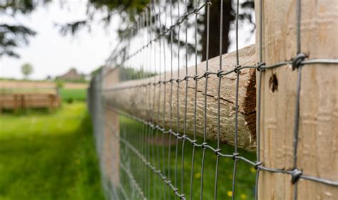 Cheap wire fencing online