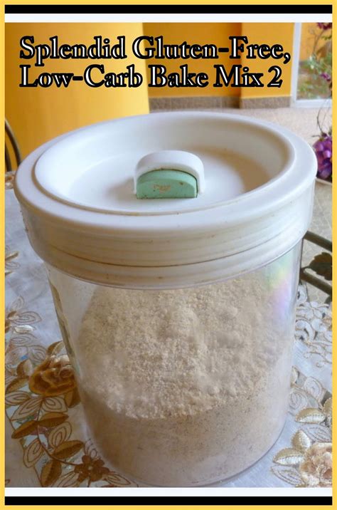 SPLENDID GLUTEN-FREE, LOW-CARB BAKE MIX 2 - AS SEEN IN UPDATED LOW ...