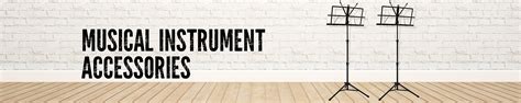 Amazon.in: Festra: Musical Instrument Accessories