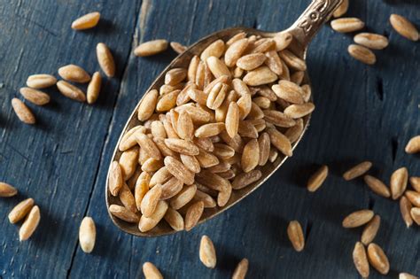 Is Farro Gluten Free? This Grain Isn't Healthy for Some People! - Ditch ...