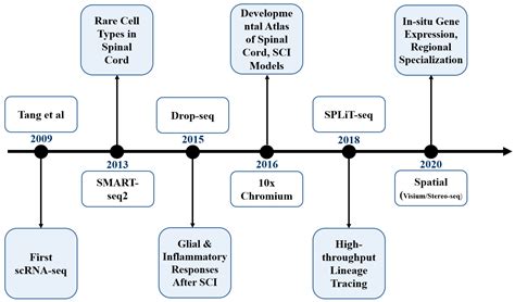 Single-Cell Transcriptomics in Spinal Cord Studies: Progress and ...
