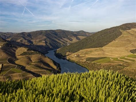 9 Best Day Trips to the Douro Valley from Porto - Hellotickets