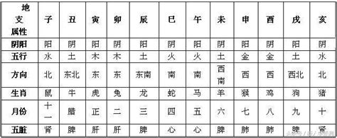 天干地支_十天干十二地支_八字天干地支-非常运势网