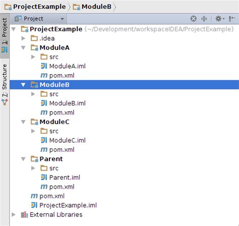 Image result for IntelliJ Sample Java Project