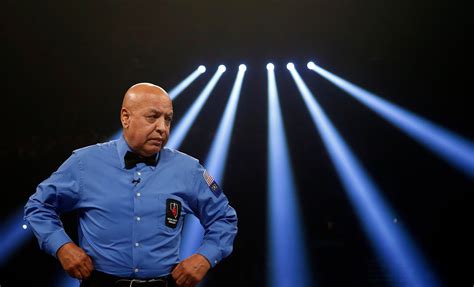 Boxing Referee 的图像结果