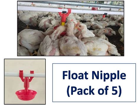 GKI POULTRY Poultry Nipple Drinker Float Cup For Square Pipe (Pack Of ...