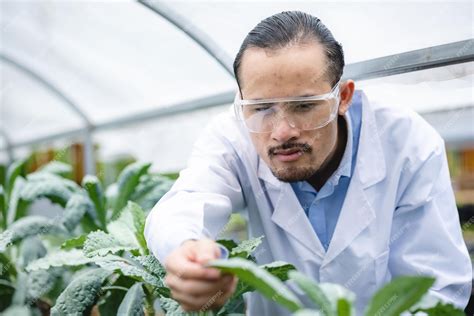 Plant Scientist 的图像结果