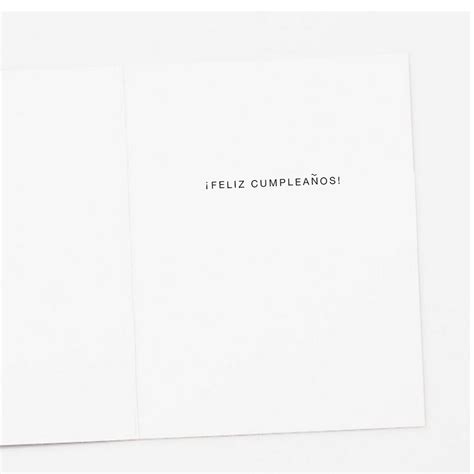 SPANISH LANGUAGE Make a Wish Birthday Card - Apartment 2 Cards