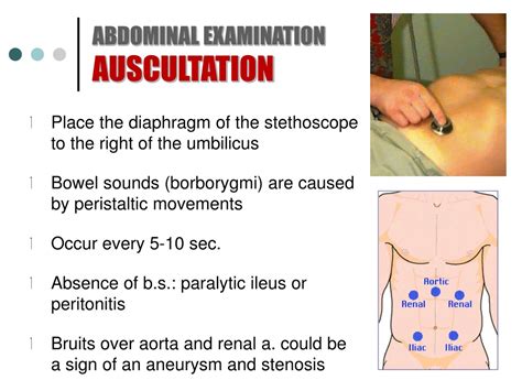 PPT - ABDOMINAL EXAMINATION PowerPoint Presentation, free download - ID ...