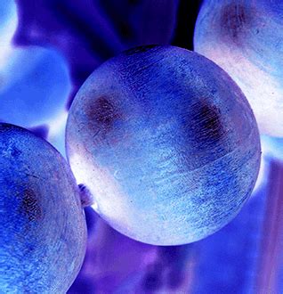 Microscopy | Indian Institute of Technology Madras