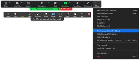 Image result for How to Use Zoom Annotation