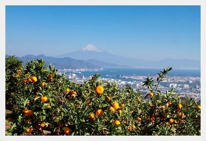 Image result for Popular JavaScript Tools