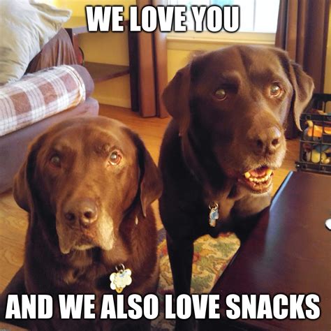 Unique Love Memes 40 Best Love Memes To Share Special One I Love You ...