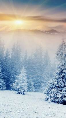 Winter Lock Screen Wallpaper For Iphone by Winter Forest Iphone Wallpapers Tap To See More 46 Iphone Winter Lock Screen Wallpaper For Iphone