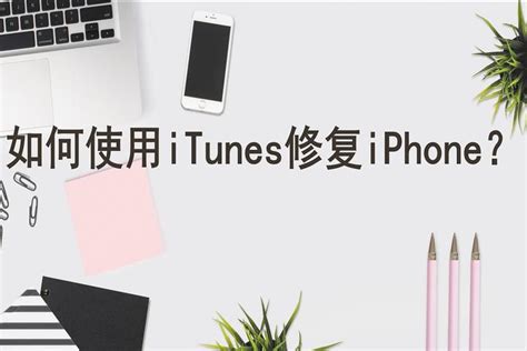 Itune Help Tutorial 的图像结果