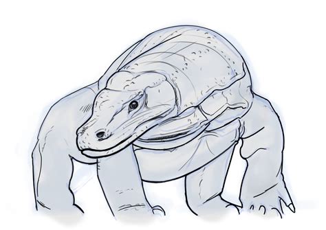 How To Draw Komodo Dragon at Troy Cason blog